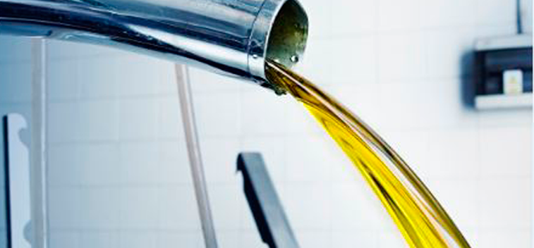 2015/2016 olive oil production forecast